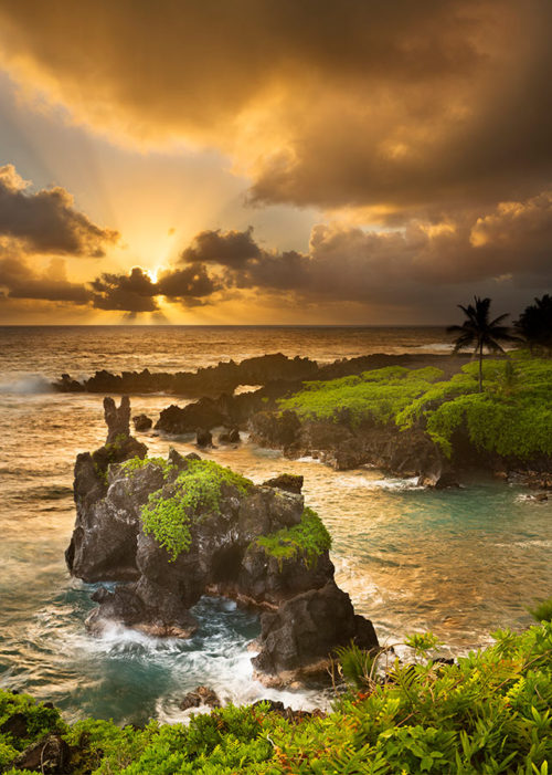 Red Sand Dunes Lone Tree Kauai Hawaii - Lewis Carlyle Photography