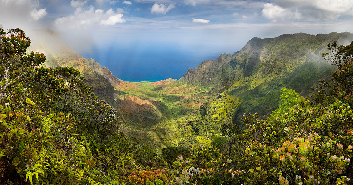 Kalalau Valley Kauai Rainforest - Lewis Carlyle Photography