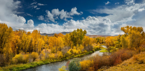 Cottonwood Creek Colorado Fall Colors