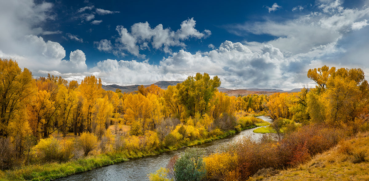 Cottonwood Creek Colorado Fall Colors