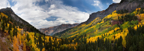 Yankee Boy Basin Fall Colors