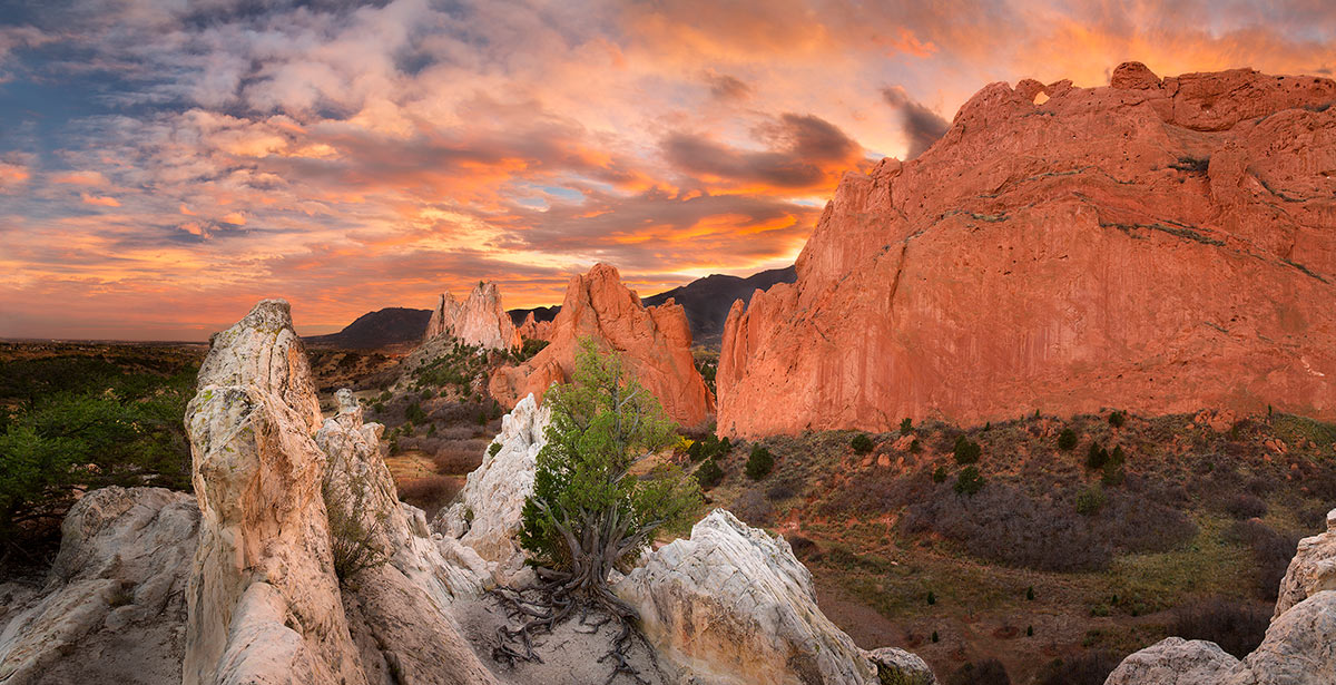 Garden of the Gods Tree of Secrets