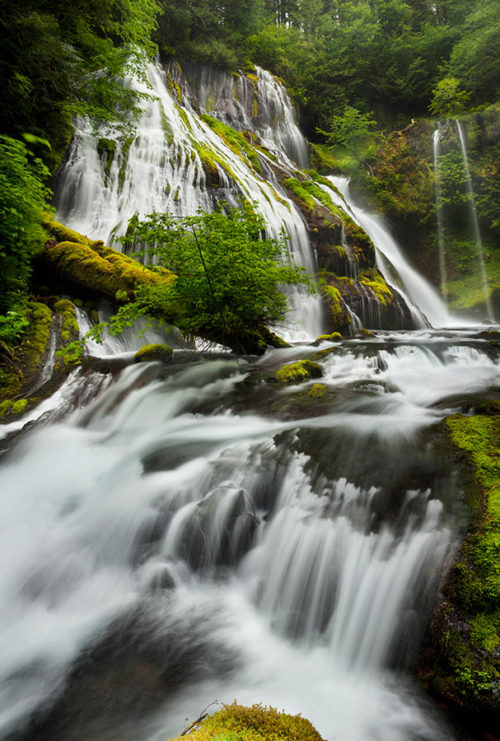 Panther Creek Falls Vertical