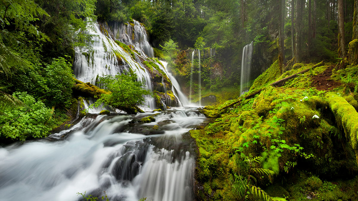 Panther Creek Falls - Lewis Carlyle Photography