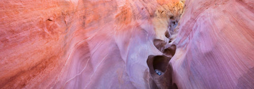 Pink Canyon Valley of Fire