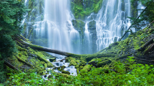 Proxy Falls Oregon