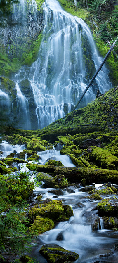 Proxy Falls Oregon Vertical