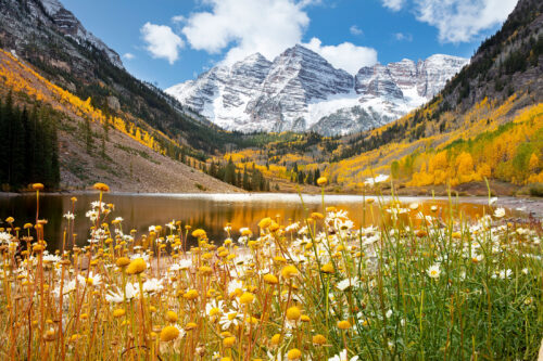 Maroon Bells Fall Colors with Wildflowers