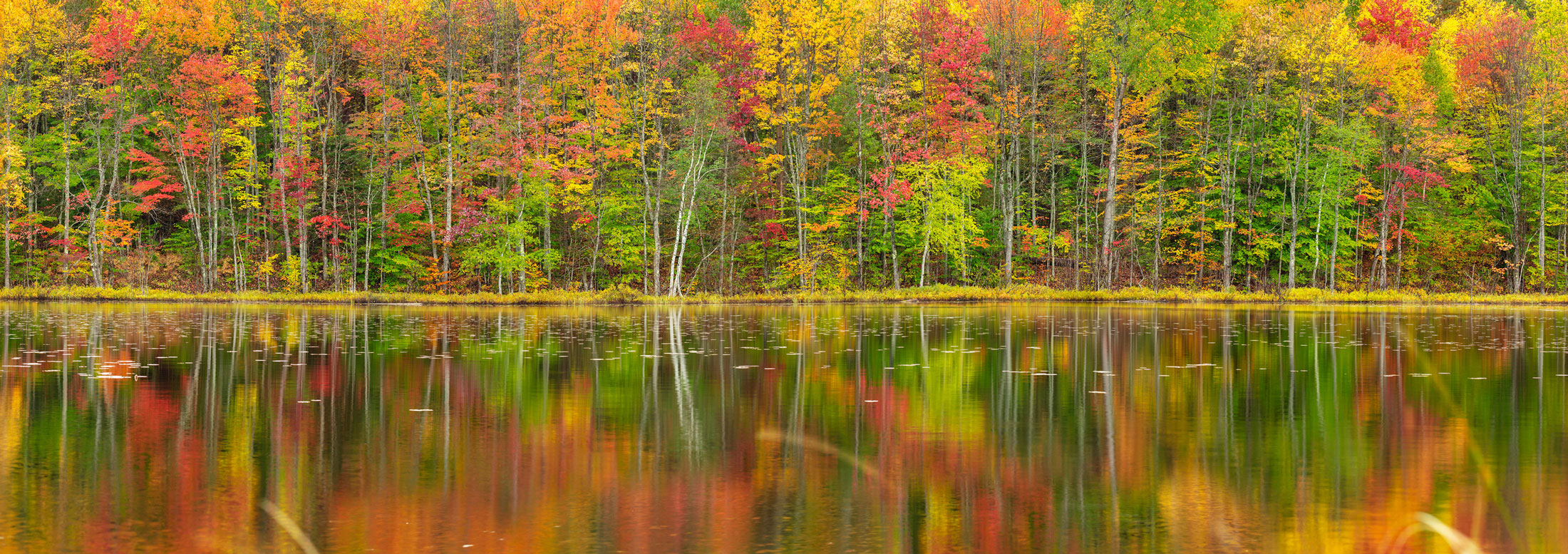 Thornton Lake Fall Colors Michigan Upper Peninsula